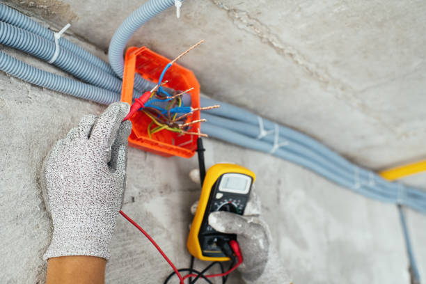 Best Electric Panel Repair  in Lake Park, FL